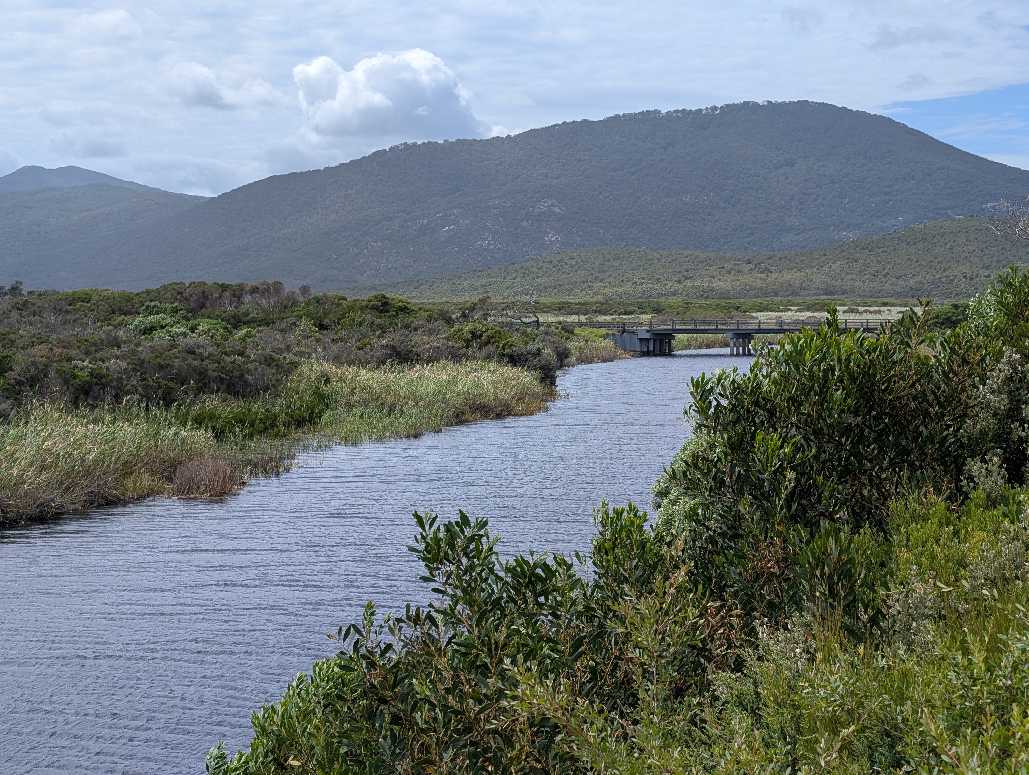 Riverside views at Darby River
