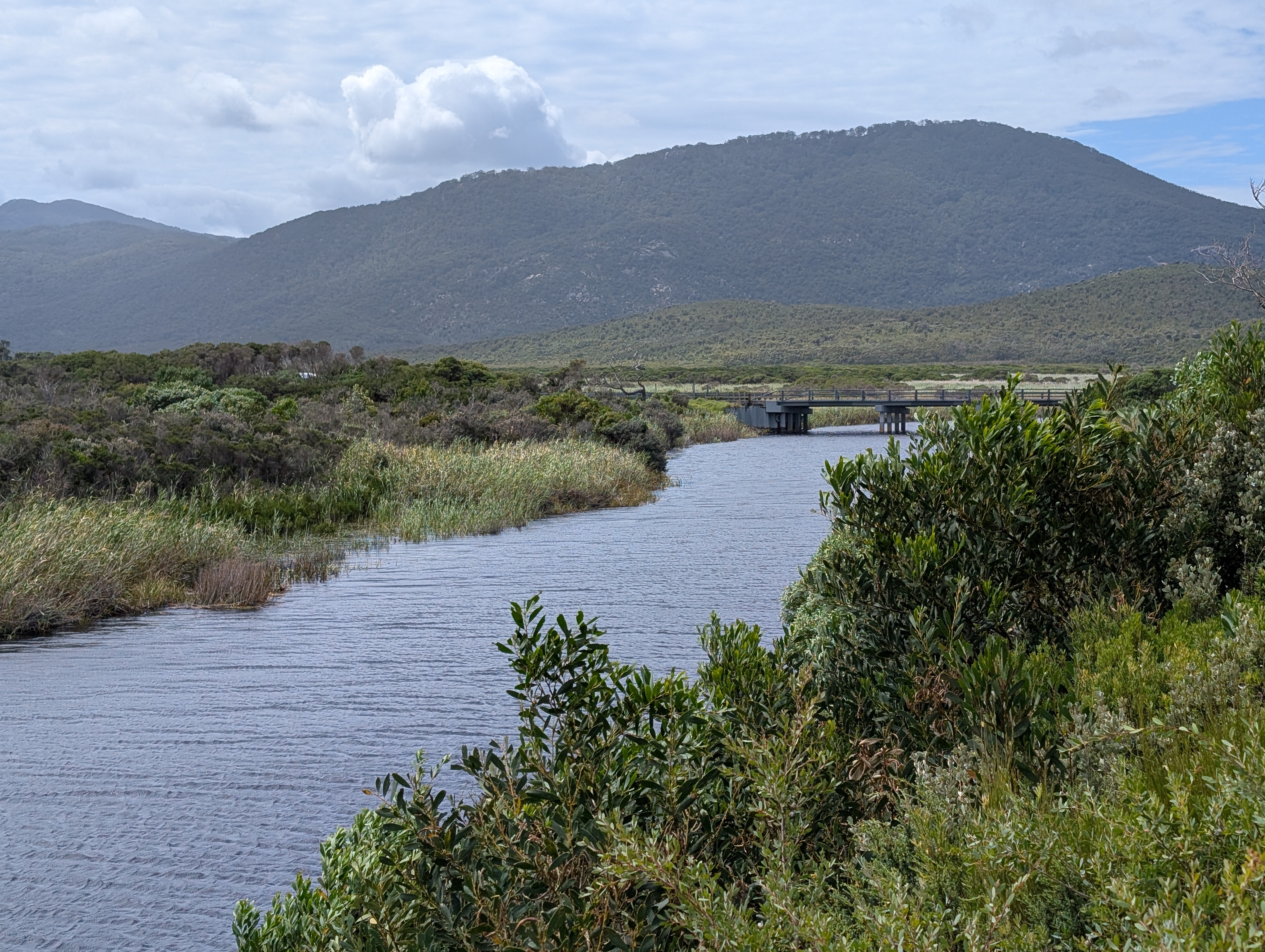 Evening light at Darby River