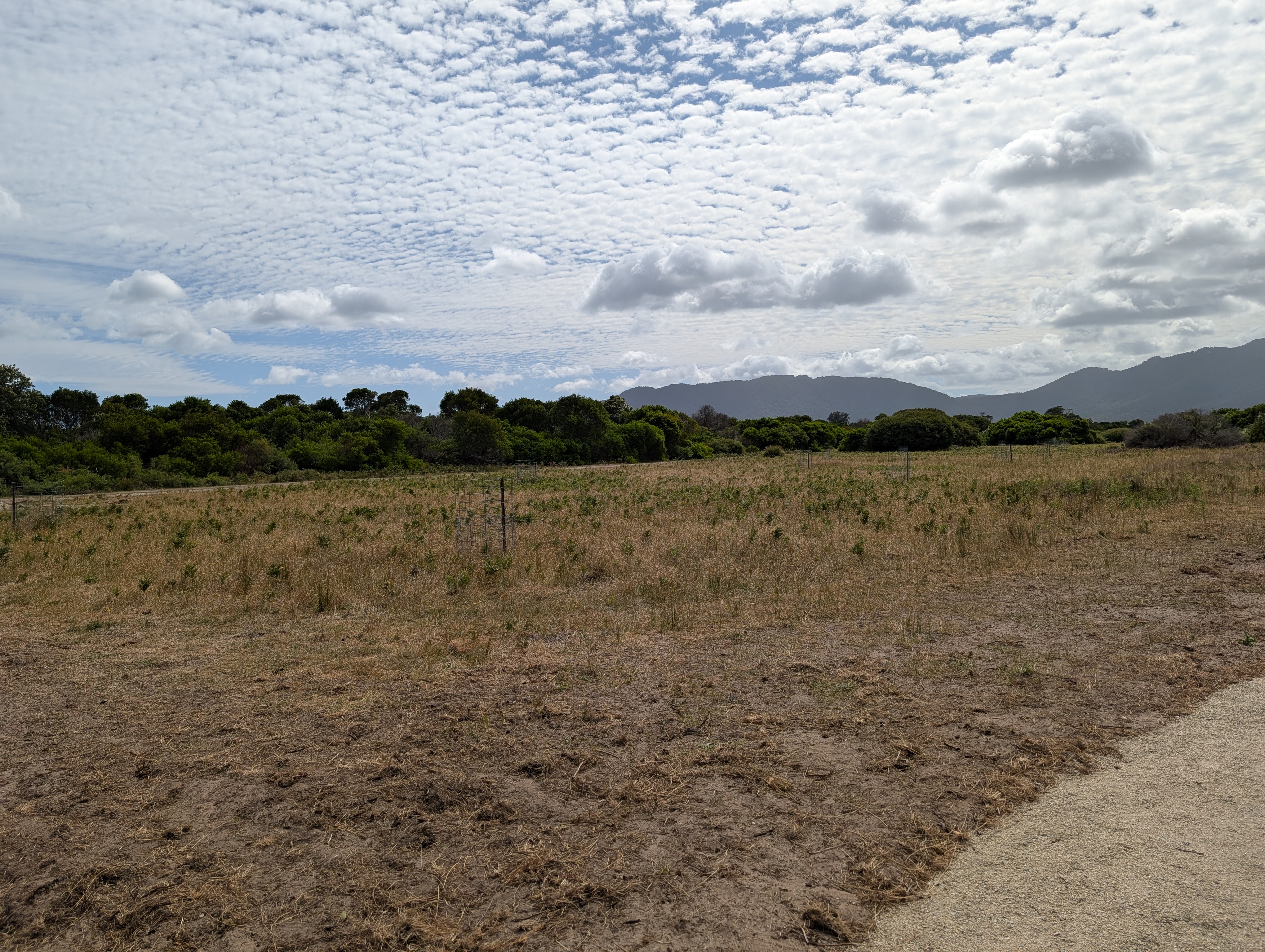 Scenic viewpoint on Wildlife Walk