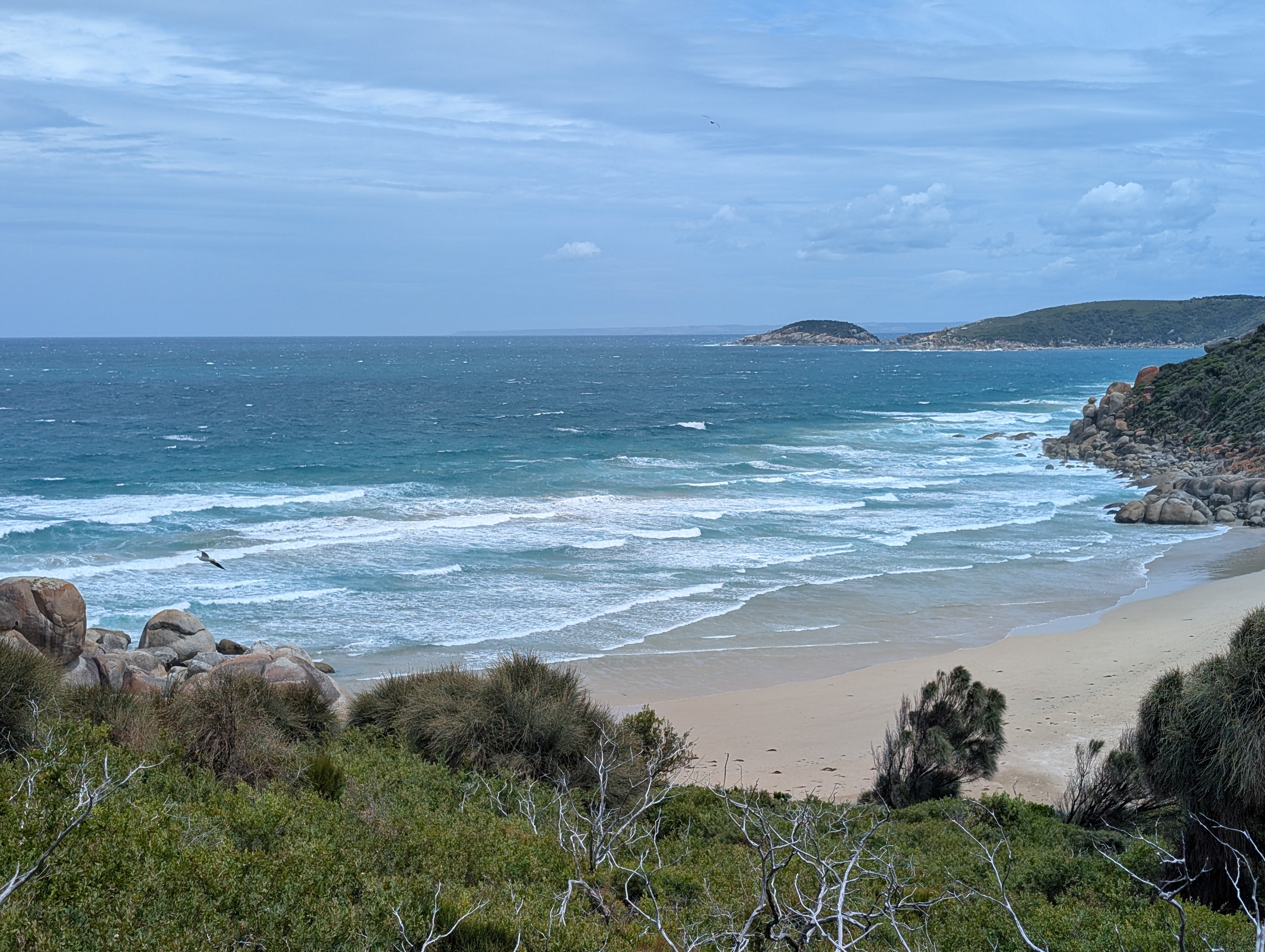 Pristine shoreline of Whisky Beach