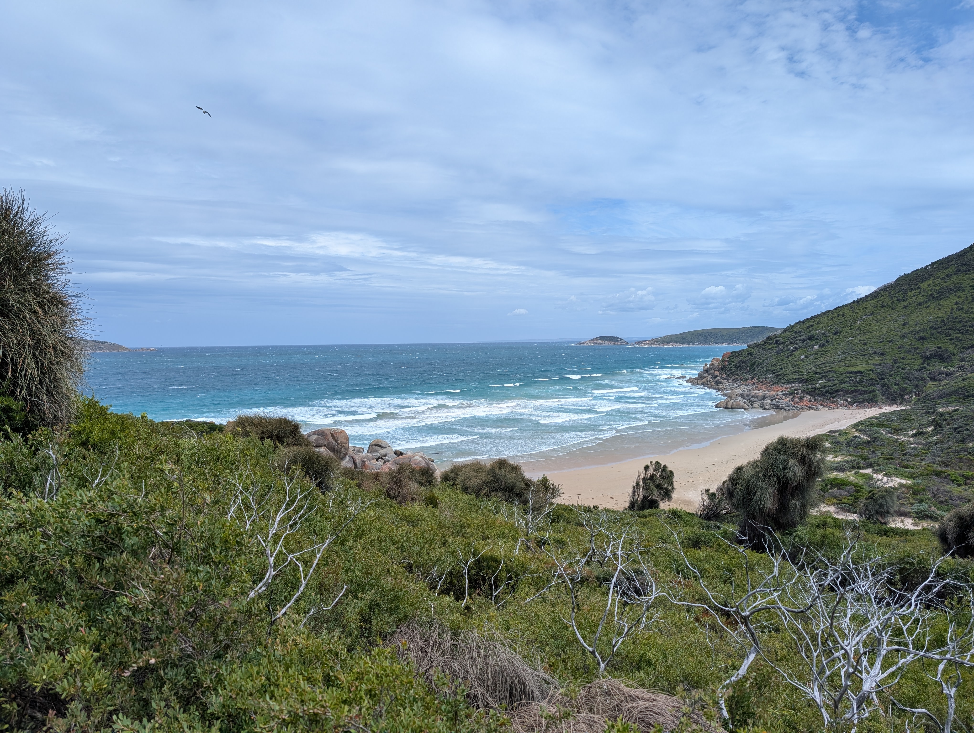Scenic coastline at Whisky Beach